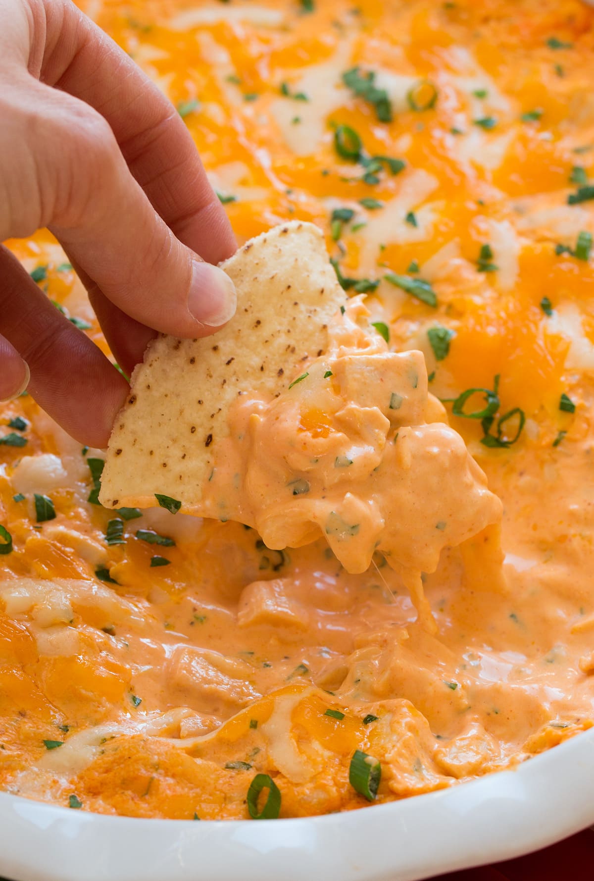 Close up image of buffalo chicken dip being scooped onto a tortilla chips.